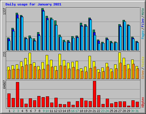 Daily usage for January 2021