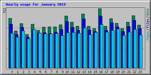 Hourly usage for January 2019