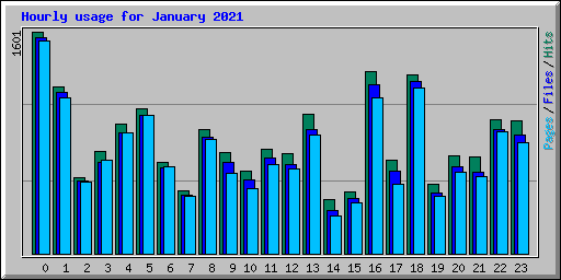 Hourly usage for January 2021