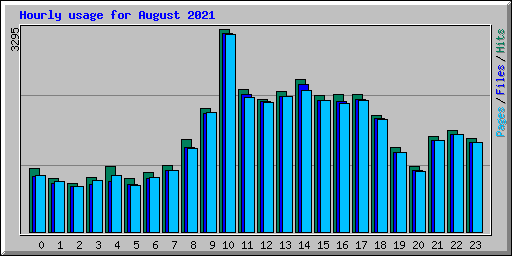 Hourly usage for August 2021