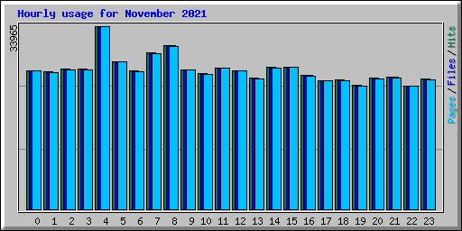 Hourly usage for November 2021