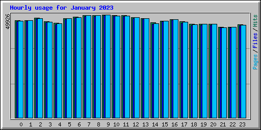 Hourly usage for January 2023