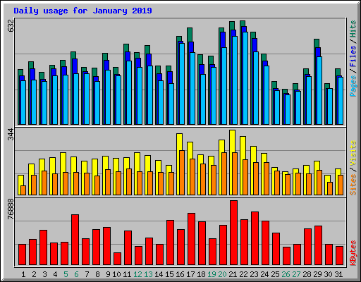 Daily usage for January 2019