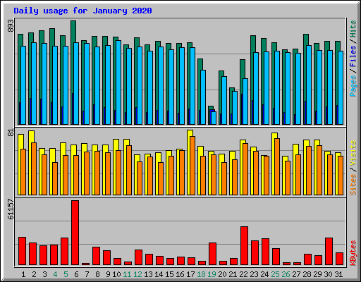 Daily usage for January 2020