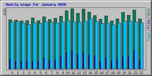 Hourly usage for January 2020