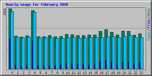 Hourly usage for February 2020