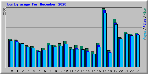 Hourly usage for December 2020