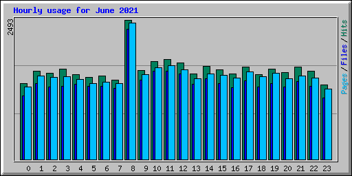 Hourly usage for June 2021