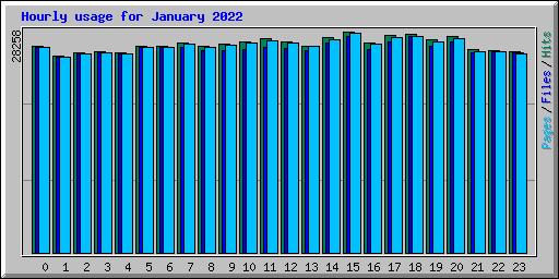 Hourly usage for January 2022